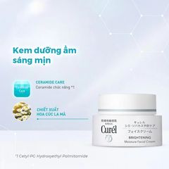 Kem Dưỡng Cấp Ẩm, Hỗ Trợ Sáng Da Curél Brightening Moisture Facial Cream 40g