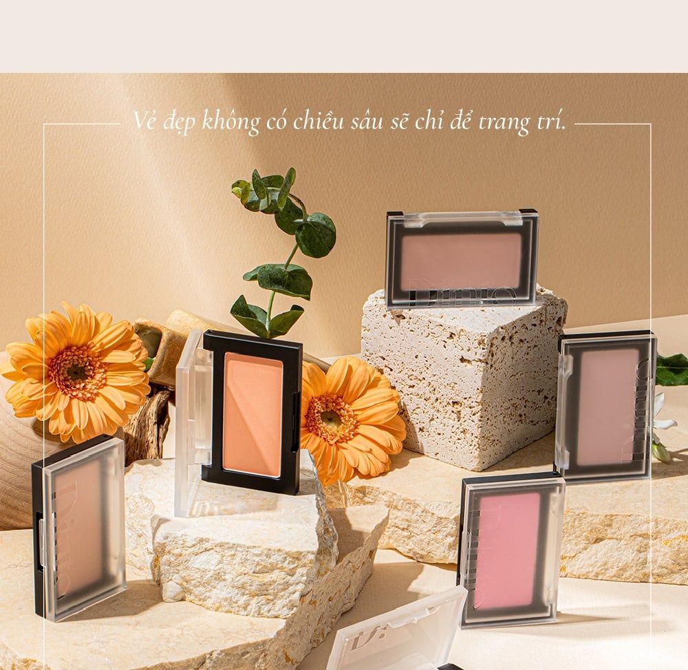 Phấn Má Hồng Dinto Blur Finish All That Moments Blusher