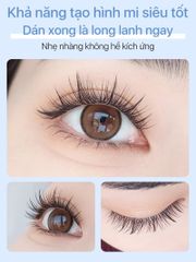 Lông Mi Giả Tách Sợi Hoa Hướng Dương Cho Đôi Mắt Long Lanh Mlen Diary - Bản Trung