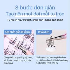 Lông Mi Giả Tách Sợi Hoa Hướng Dương Cho Đôi Mắt Long Lanh Mlen Diary - Bản Trung