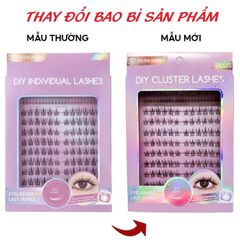 Lông Mi Giả Tách Sợi Hướng Dương Cho Mắt To Tự Nhiên Mlen Diary