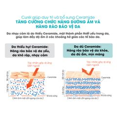 Tinh Chất Chống Nắng Curél   UV Protection Essence SPF 30 PA++ 50gr