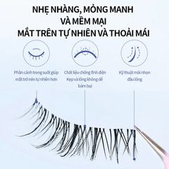 Lông Mi Giả Mlen Diary Gân Trong Suốt Sweet Idol 5 Cặp
