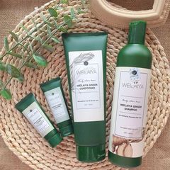 Dầu Gội Gừng Trắng Weilaiya Ginger 400ml