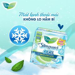 BVS Laurier, băng vệ sinh ban đêm và hàng ngày Nhật Bản