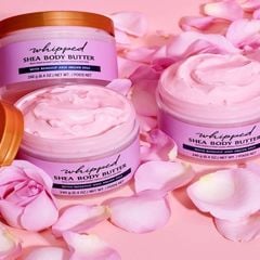 Dưỡng thể Tree Hut Shea Body Butter