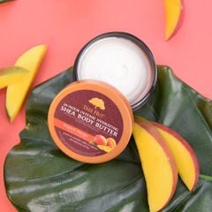 Dưỡng thể Tree Hut Shea Body Butter