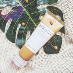 Sữa Rửa Mặt Skin1004 Madagascar Centella Ampoule Foam 125ml