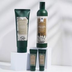 Gội Gừng Hà Thủ Ô Weilaiya 400 ml