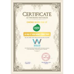 Sữa Rửa Mặt Wonjin Hydro Vital Cleansing Foam 80ml