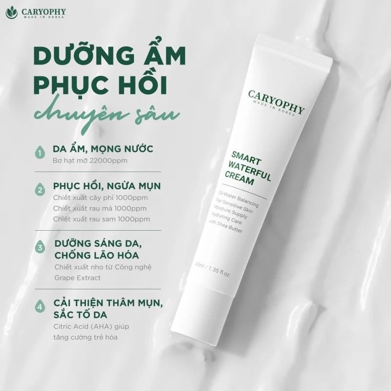 Kem dưỡng phục hồi da Caryophy Smart Waterful Cream 40ml