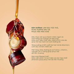 Sáp Dưỡng Môi Nuxe Reve De Miel Honey Lip Balm Ultra-Nourishing And Repairing 15G