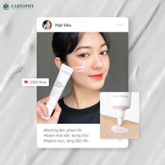 Kem dưỡng phục hồi da Caryophy Smart Waterful Cream 40ml