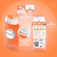 Dung Dịch Vệ Sinh Femfresh Daily Intimate Wash 250ml