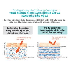 Sữa Chống Nắng Curel UV Protection Face Milk SPF 30 PA++ 30ml