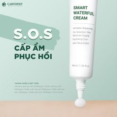 Kem dưỡng phục hồi da Caryophy Smart Waterful Cream 40ml