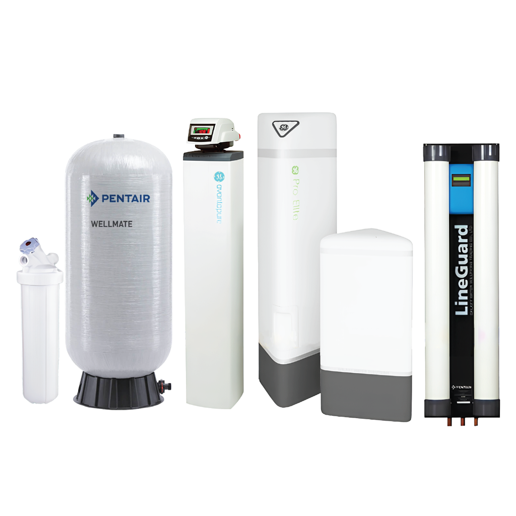 Hệ thống xử lý nước đầu nguồn Pentair Riversoft POE +  Buffer Tank &  Lineguard UF-100