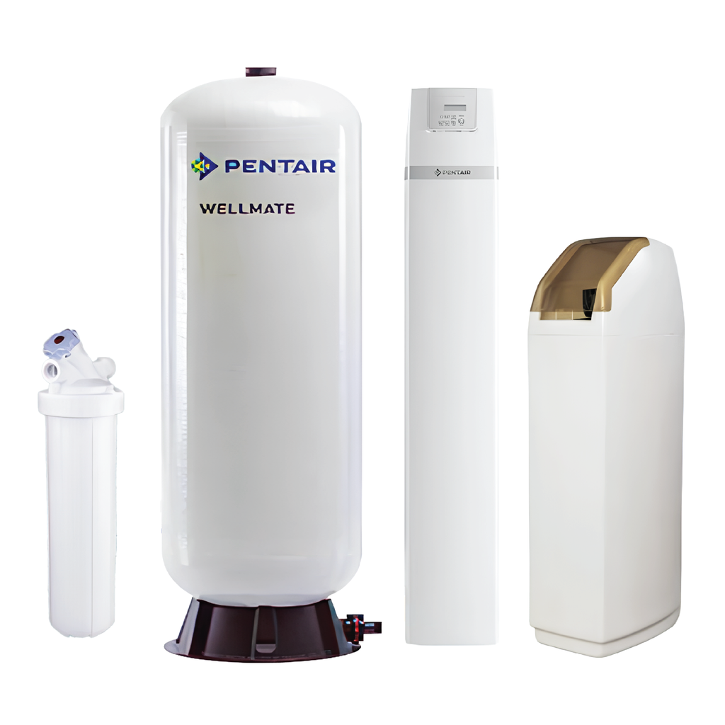 Hệ thống xử lý nước đầu nguồn Pentair Riversoft POE + Buffer Tank