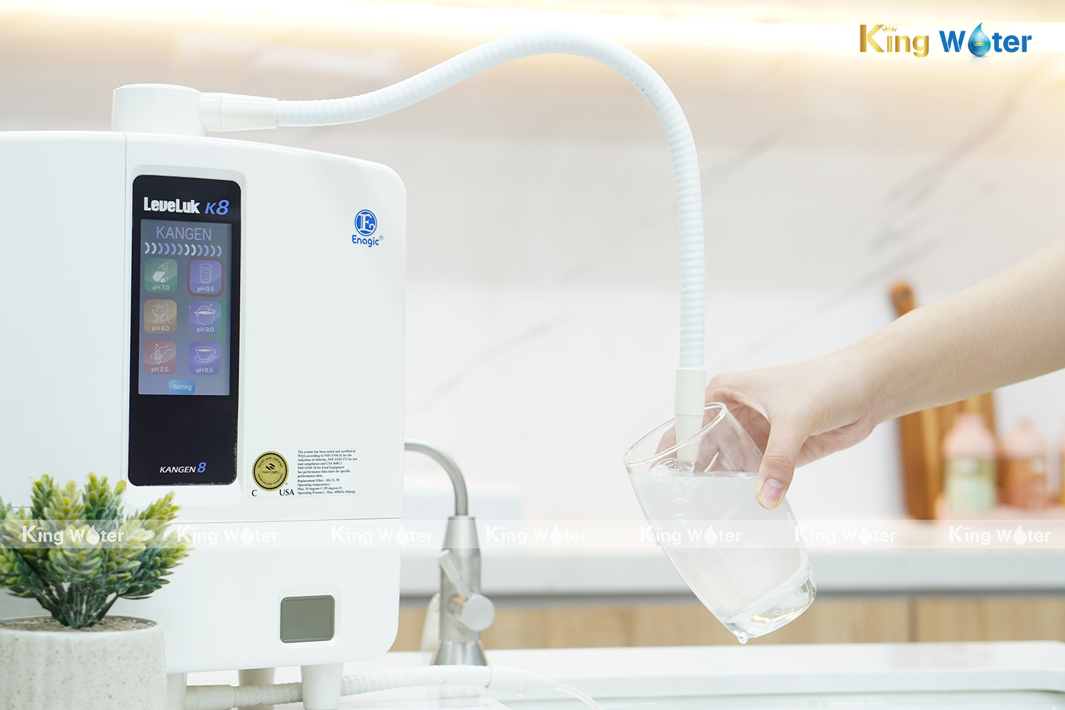 Máy Lọc Nước Điện Giải Ion Kiềm Kangen Leveluk K8 – Khuyến Mãi 2025