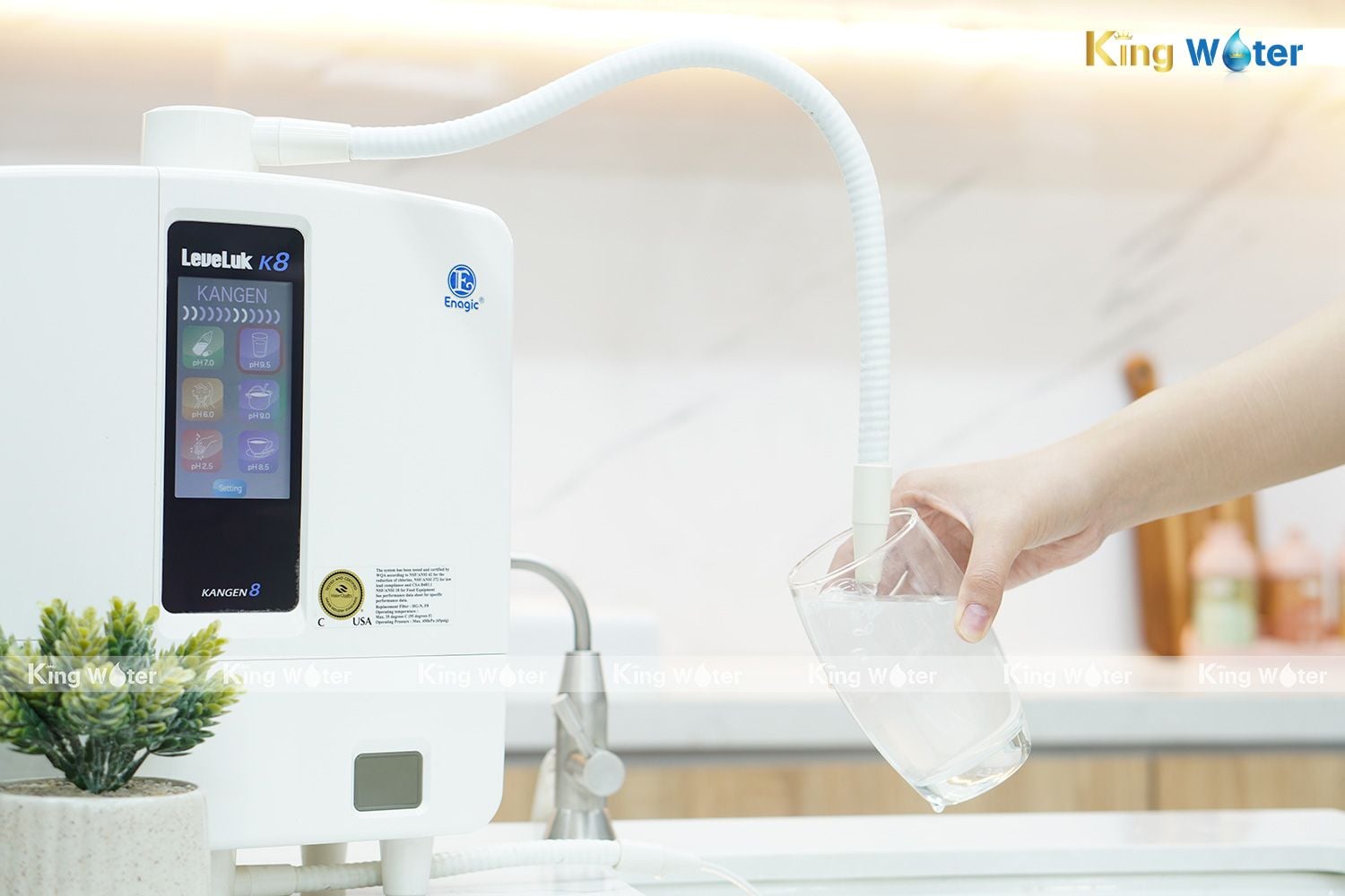 Máy Lọc Nước Điện Giải Ion Kiềm Kangen Leveluk K8 – Khuyến Mãi 2025