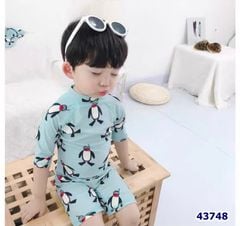 Bộ bơi liền xanh chim cánh cụt