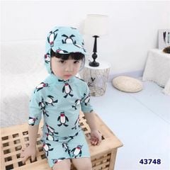 Bộ bơi liền xanh chim cánh cụt