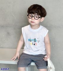 Set bộ Gelu trắng oto