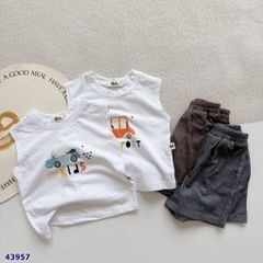 Set bộ Gelu trắng oto