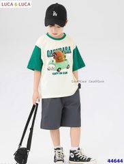 Bộ Luca trắng tay xanh Capybara