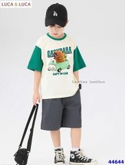 Bộ Luca trắng tay xanh Capybara