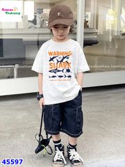 Bộ Luca xám cá mập