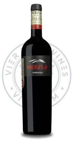 Lar de Paula Merus.4