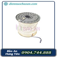 Dây LED LSC 2 hàng AST (100/c)