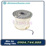 Dây LED LSC 2 hàng đổi màu 24VDC