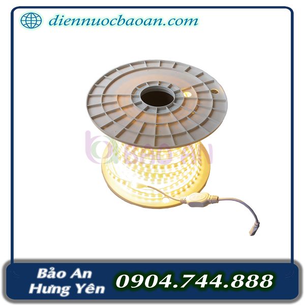 Dây LED LSC 2 hàng ASV (100/c)