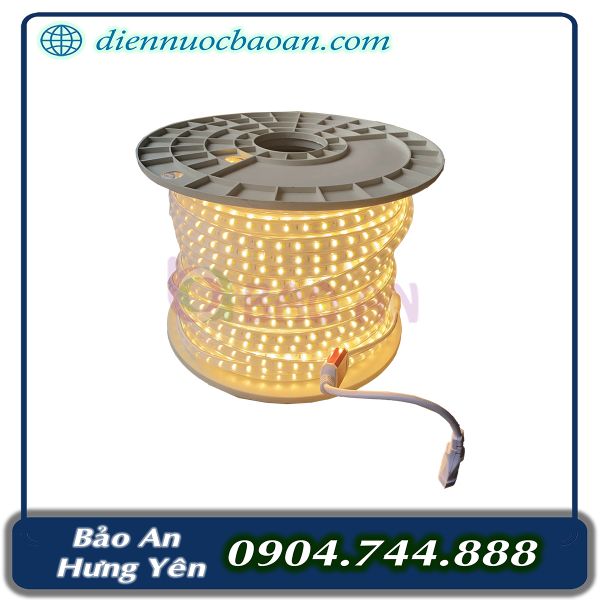 Dây LED LSC 2 hàng đổi màu 24VDC