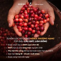 Cà Phê Moka 100% Nguyên Chất (Cao Cấp) - (250g/500g/1kg NGUYÊN HẠT)- Cafe Hạt Rang Xay Chính Hãng Ban Me Gold - Honee Coffee