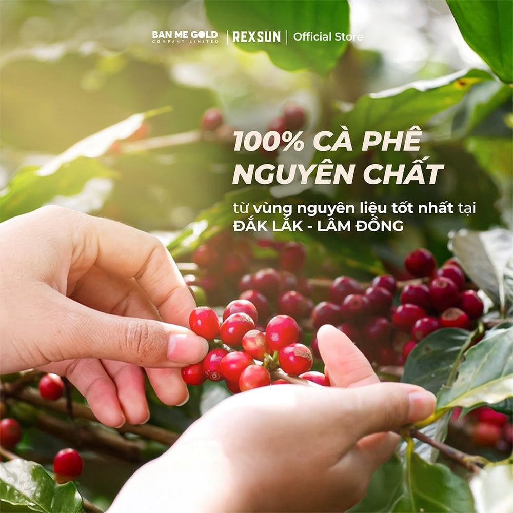 Cà Phê Hoà Tan Sữa Đá ĐẬM ĐÀ Gu Mạnh Mẽ - Hộp 180g (10 gói) - Cafe Sữa Đá 3in1 Tiện Lợi Ban Me Gold