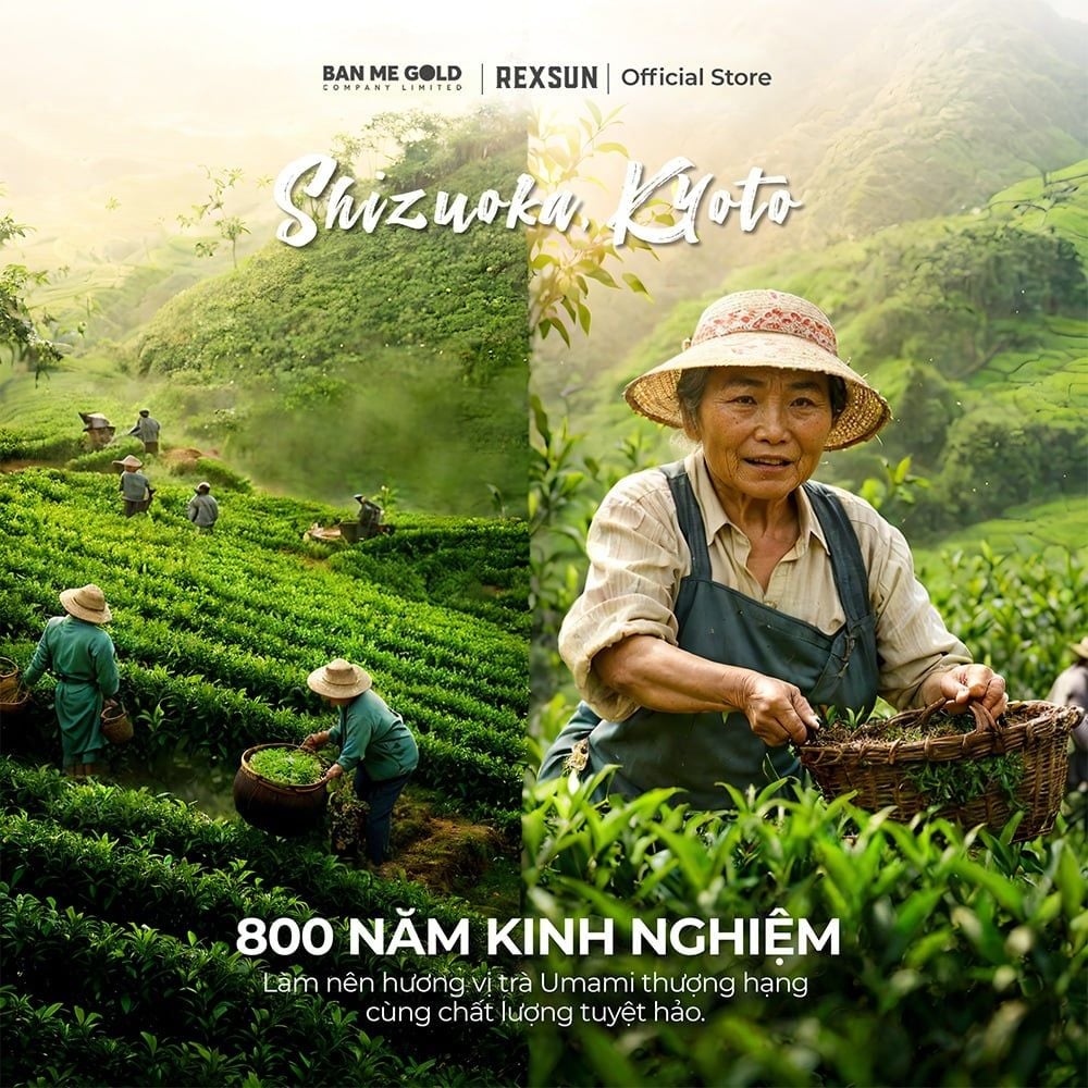 Trà Sữa Matcha Hoà Tan - Instant Delight - Hộp 160g (10 Gói) - Trà Sữa Trà Xanh Hòa Tan Chính Hãng Ban Me Gold - REXSUN