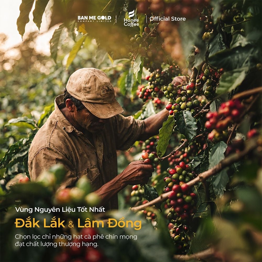 [CAO CẤP] Cà Phê Hương Chồn (Bạc) (250g - NGUYÊN HẠT) Hạt Rang Mộc Cà Phê Chồn 100% Nguyên Chất Chính Hãng Ban Me Gold - Honee Coffee