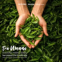 Trà Sữa Matcha Hoà Tan - Instant Delight - Hộp 160g (10 Gói) - Trà Sữa Trà Xanh Hòa Tan Chính Hãng Ban Me Gold - REXSUN