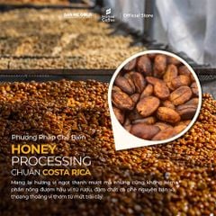 [CAO CẤP] Cà Phê Hương Chồn (Bạc) Hạt Rang Mộc (250g) Cà Phê Chồn 100% Nguyên Chất Chính Hãng Ban Me Gold - Honee Coffee