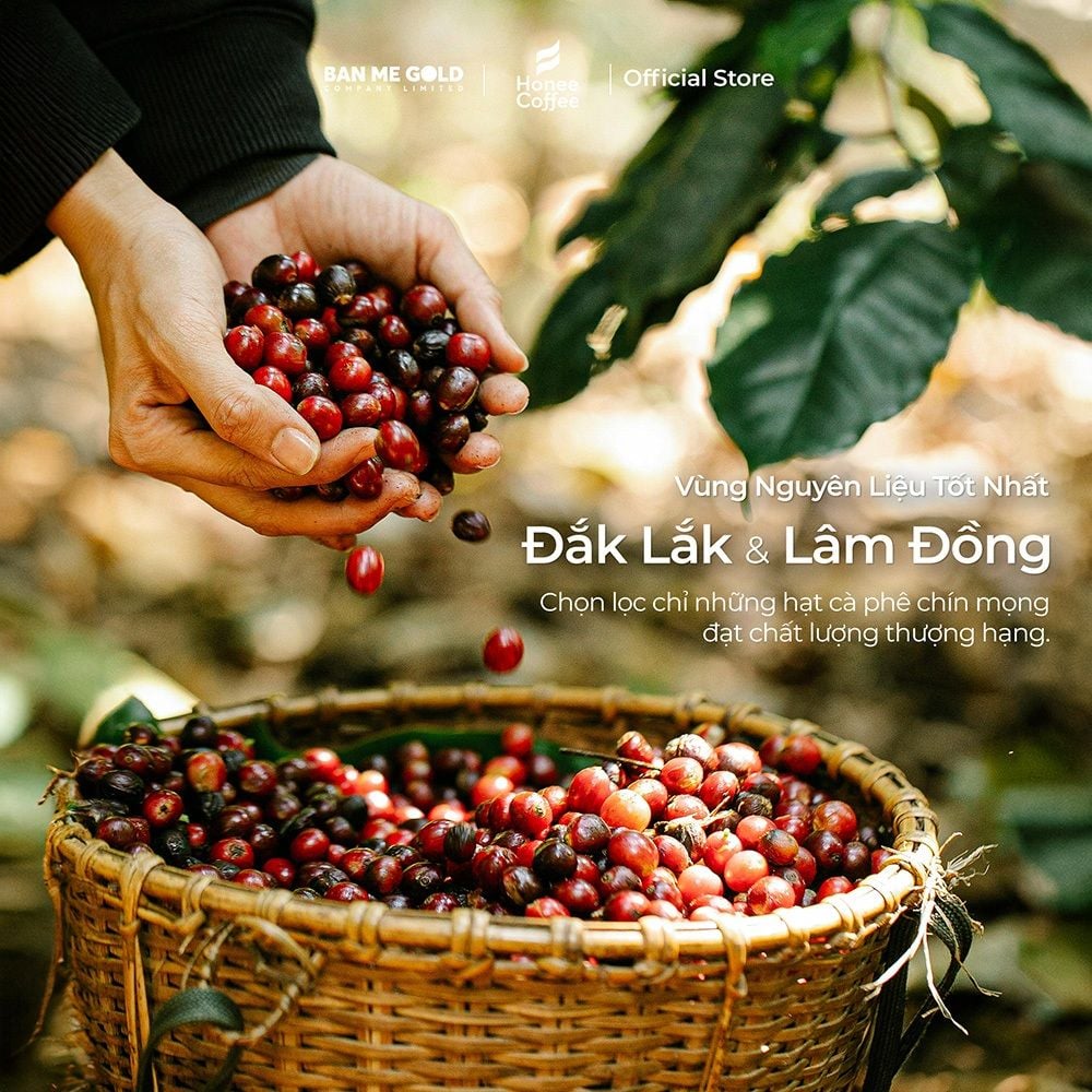 [THƯỢNG HẠNG] Cà Phê Hương Chồn (Vàng) Hạt Rang Mộc (200g) Cà Phê Chồn Nguyên Chất Chính Hãng Ban Me Gold - Honee Coffee