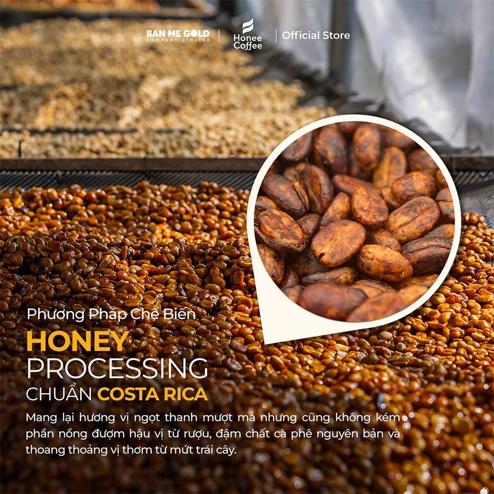 [THƯỢNG HẠNG] Cà Phê Hương Chồn (Vàng) Hạt Rang Mộc (200g) Cà Phê Chồn Nguyên Chất Chính Hãng Ban Me Gold - Honee Coffee