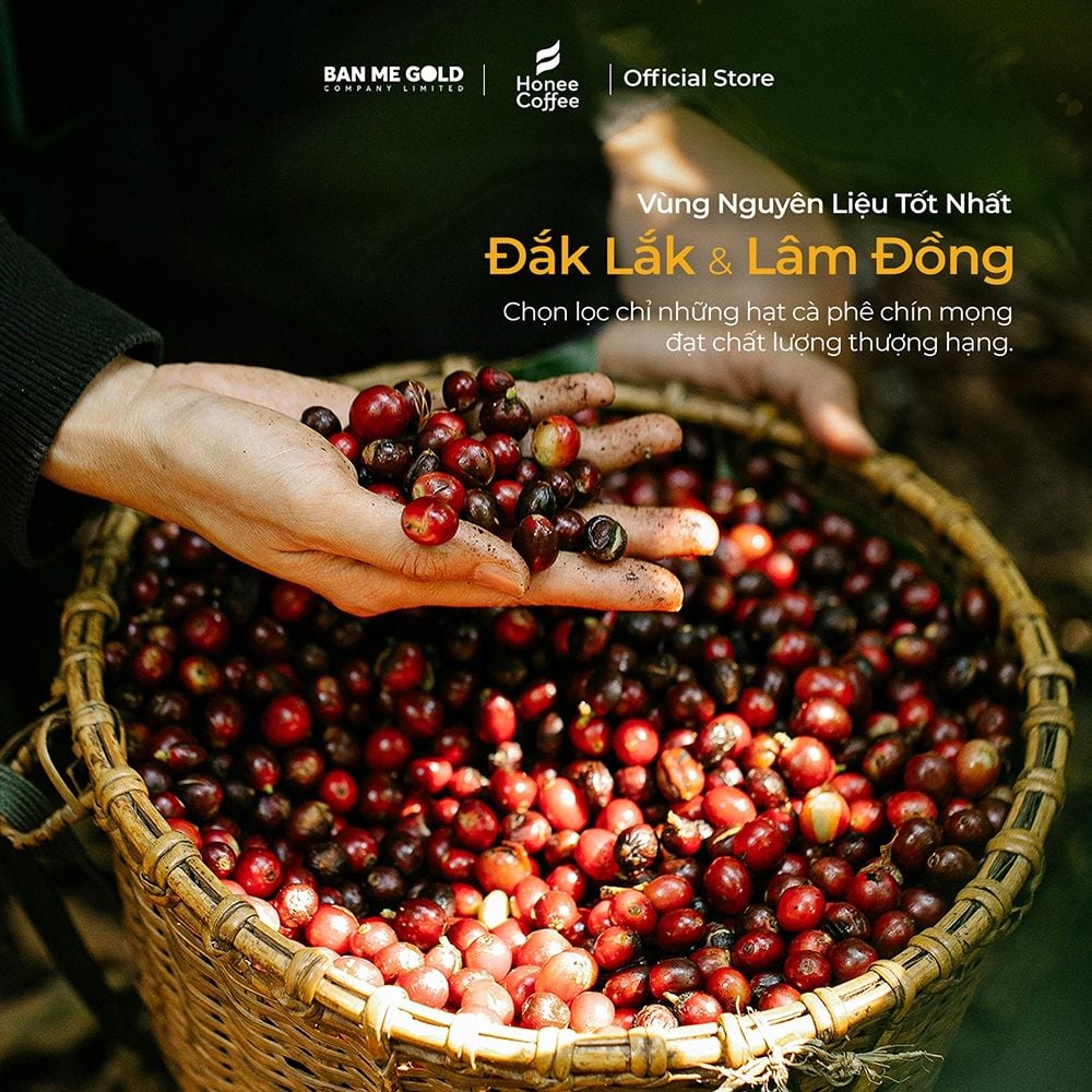 [CƠ BẢN] Cà Phê Hương Chồn (Nâu) Hạt Rang Mộc (250g) Cà Phê Chồn 100% Nguyên Chất Chính Hãng Ban Me Gold - Honee Coffee
