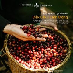 [CƠ BẢN] Cà Phê Hương Chồn (Nâu) Hạt Rang Mộc (250g) Cà Phê Chồn 100% Nguyên Chất Chính Hãng Ban Me Gold - Honee Coffee