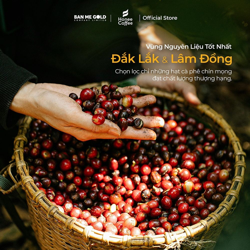 [TẶNG PHIN] Cà Phê Hạt Rang Honey Moka Nguyên Chất - 250g - Cafe Moka Phủ Mật Ong Chính Hãng Ban Me Gold - Honee Coffee