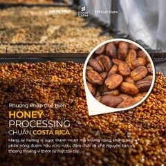 [CƠ BẢN] Cà Phê Hương Chồn (Nâu) Hạt Rang Mộc (250g) Cà Phê Chồn 100% Nguyên Chất Chính Hãng Ban Me Gold - Honee Coffee