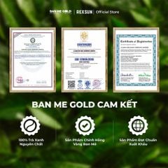 Trà Sữa Matcha Hoà Tan - Instant Delight - Hộp 160g (10 Gói) - Trà Sữa Trà Xanh Hòa Tan Chính Hãng Ban Me Gold - REXSUN