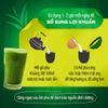 Bột Lúa Non Bổ Sung Lợi Khuẩn & Enzyme Tiêu Hóa YUWA - Hộp 50 Gói